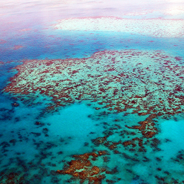 Great Barrier Reef